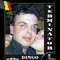Rencontrer dingodoo